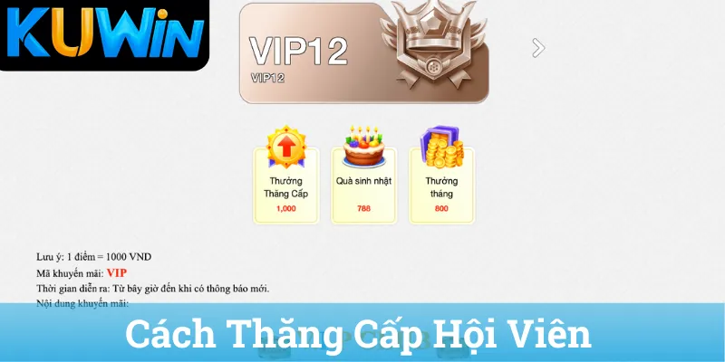Cách Thăng Cấp Hội Viên
